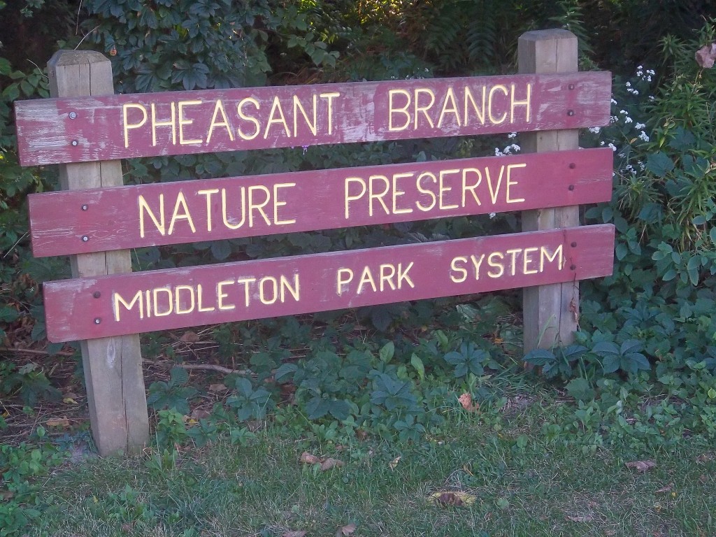 Pheasant Branch Nature Preserve Middleton WI