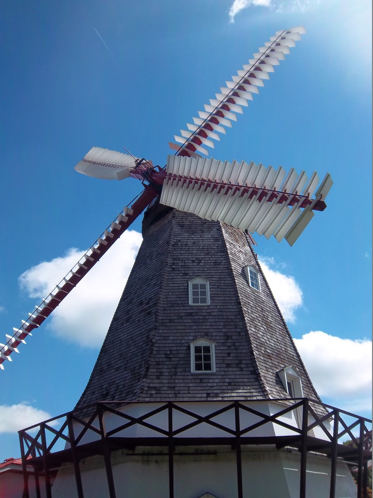 Elk Horn Windmill 2