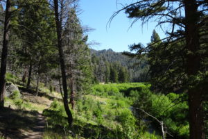 Trail at Humbug Spires near Butte